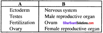 Bihar Board 12th Biology Model Question Paper 1 in English Medium 3