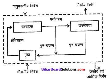 Bihar Board 12th Biology Model Question Paper 4 in Hindi 1