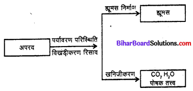 Bihar Board 12th Biology Model Question Paper 5 in Hindi 1