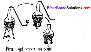 Bihar Board 12th Biology Model Question Paper 5 in Hindi 3