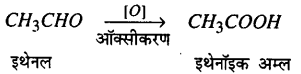 Bihar Board 12th Chemistry Model Question Paper 1 in Hindi - 18