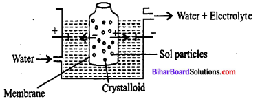 Bihar Board 12th Chemistry Objective Answers Chapter 5 Surface Chemistry 2