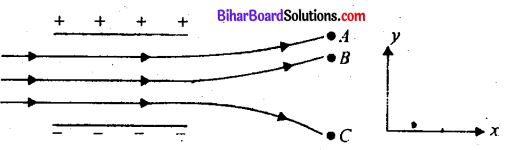 Bihar Board 12th Physics Objective Answers Chapter 1 वैद्युत आवेश तथा क्षेत्र - 4