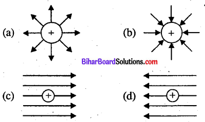 Bihar Board 12th Physics Objective Answers Chapter 1 वैद्युत आवेश तथा क्षेत्र - 5