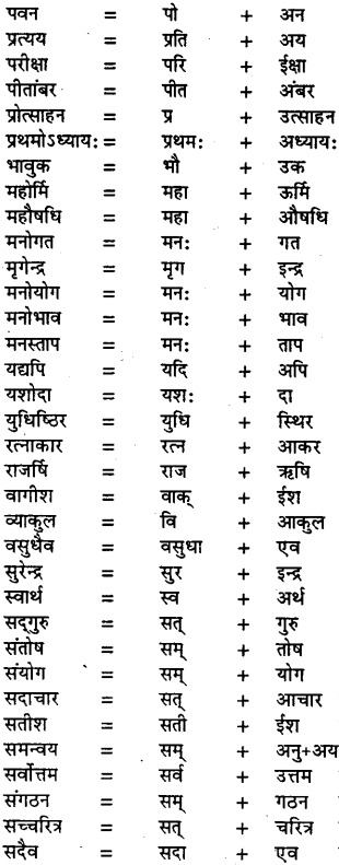 Bihar Board Class 11th Hindi व्याकरण संधि 3