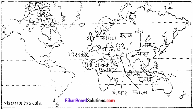 Bihar Board Class 12 History Solutions Chapter 5 यात्रियों के नज़रिए समाज के बारे में उनकी समझ img 1