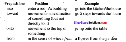 Bihar Board Class 8 English Book Solutions Chapter 13 My Shadow 4