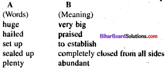 Bihar Board Class 8 English Book Solutions Chapter 16 Harvesting Rain 2