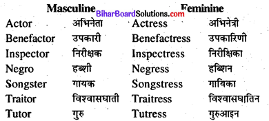 Bihar Board Class 8 English Grammar Gender and Person 3