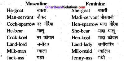 Bihar Board Class 8 English Grammar Gender and Person 5