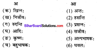 Bihar Board Class 8 Sanskrit Solutions Chapter 4 प्रहेलिका 2
