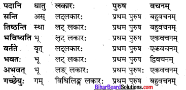 Bihar Board Class 8 Sanskrit Solutions Chapter 6 रघुदासस्य लोकबुद्धि 4