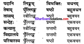 Bihar Board Class 8 Sanskrit Solutions Chapter 6 रघुदासस्य लोकबुद्धि 5