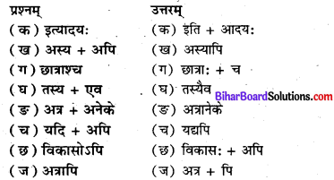 Bihar Board Class 8 Sanskrit Solutions Chapter 7 प्राचीना विश्वविद्यालय 4