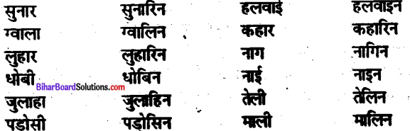 Bihar Board Class 10 Hindi व्याकरण लिंग-5