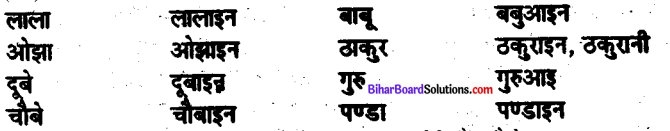 Bihar Board Class 10 Hindi व्याकरण लिंग-6