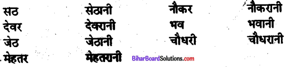 Bihar Board Class 10 Hindi व्याकरण लिंग-8