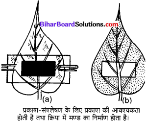 Bihar Board Class 10 Science Solutions Chapter 6 जैव प्रक्रम