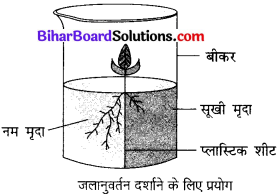 Bihar Board Class 10 Science Solutions Chapter 7 नियंत्रण एवं समन्वय