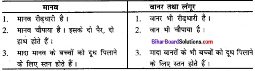 Bihar Board Class 11 History Solutions Chapter 1 समय की शुरुआत से 2Bihar Board Class 11 History Solutions Chapter 1 समय की शुरुआत से