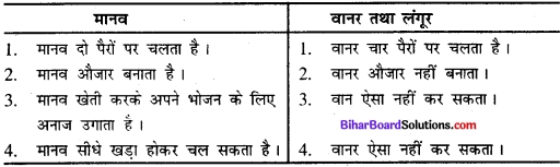 Bihar Board Class 11 History Solutions Chapter 1 समय की शुरुआत स