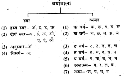 Bihar Board Class 6 Hindi व्याकरण Grammar 1