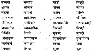 Bihar Board Class 6 Hindi व्याकरण Grammar 29