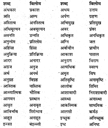 Bihar Board Class 6 Hindi व्याकरण Grammar 33