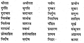 Bihar Board Class 6 Hindi व्याकरण Grammar 38