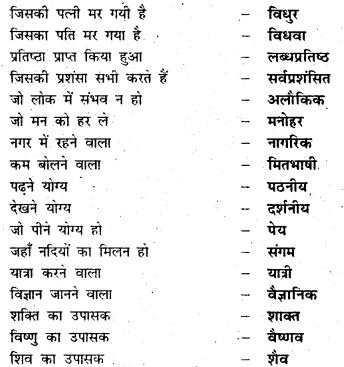 Bihar Board Class 6 Hindi व्याकरण Grammar 51