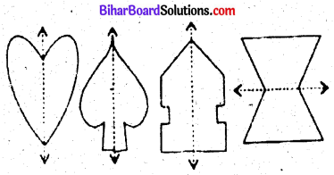 Bihar Board Class 6 Maths Solutions Chapter 14 सममिति Ex 14.1 Q3.1