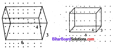 Bihar Board Class 7 Maths Solutions Chapter 16 त्रिविमीय आकृतियों का द्विविमीय निरूपण Ex 16.2 Q2