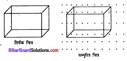 Bihar Board Class 7 Maths Solutions Chapter 16 त्रिविमीय आकृतियों का द्विविमीय निरूपण Ex 16.2 Q3