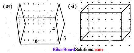 Bihar Board Class 7 Maths Solutions Chapter 16 त्रिविमीय आकृतियों का द्विविमीय निरूपण Ex 16.2 Q5