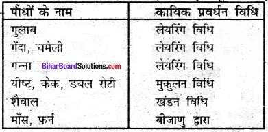 Bihar Board Class 7 Science Solutions Chapter 17 पौधों में जनन 2