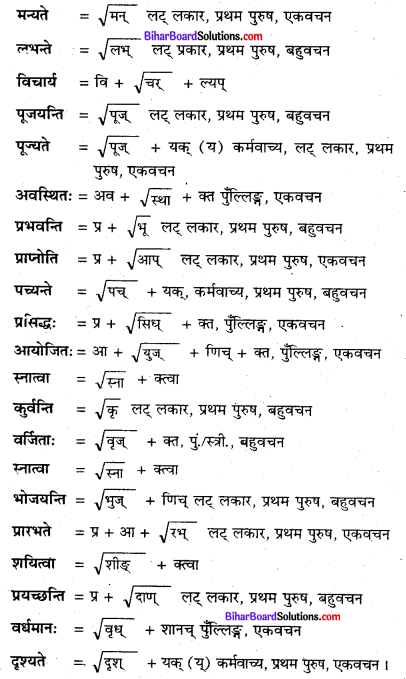 Bihar Board Class 8 Sanskrit Solutions Chapter 13 रविषष्टि-व्रतोत्सव 1
