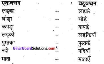 Bihar Board Class 9 Hindi व्याकरण वचन - 1