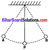 Bihar Board Class 9 Science Solutions Chapter 11 कार्य तथा ऊर्जा