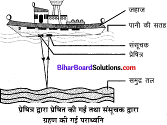 Bihar Board Class 9 Science Solutions Chapter 12 ध्वनि 