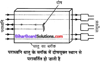 Bihar Board Class 9 Science Solutions Chapter 12 ध्वनि