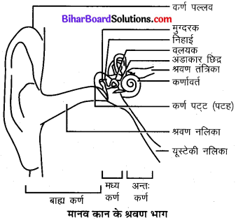 Bihar Board Class 9 Science Solutions Chapter 12 ध्वनि