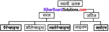 Bihar Board Class 9 Science Solutions Chapter 6 ऊतक 