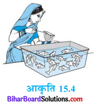 Bihar Board Class 10 Maths Solutions Chapter 15 प्रायिकता Ex 15.1 Q11