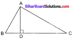 Bihar Board Class 10 Maths Solutions Chapter 6 त्रिभुज Additional Questions MCQ 3