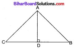 Bihar Board Class 10 Maths Solutions Chapter 6 त्रिभुज Additional Questions SAQ 1