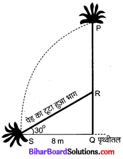 Bihar Board Class 10 Maths Solutions Chapter 9 त्रिकोणमिति के कुछ अनुप्रयोग Ex 9.1 Q2