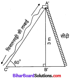 Bihar Board Class 10 Maths Solutions Chapter 9 त्रिकोणमिति के कुछ अनुप्रयोग Ex 9.1 Q3.1 (1)