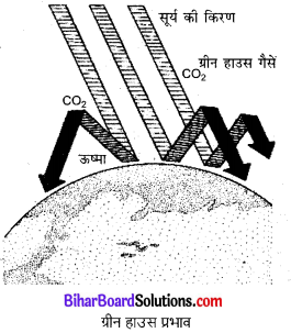 Bihar Board Class 10 Science Solutions Chapter 15 हमारा पर्यावरण 