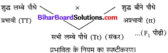 Bihar Board Class 10 Science Solutions Chapter 9 अनुवांशिकता एवं जैव विकास 