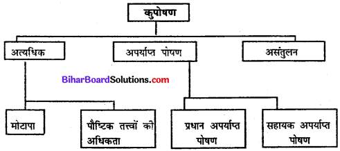 Bihar Board Class 11 Home Science Solutions Chapter 10 आहार, पोषण तथा स्वास्थ्य परिभाषा एवं संबंध 